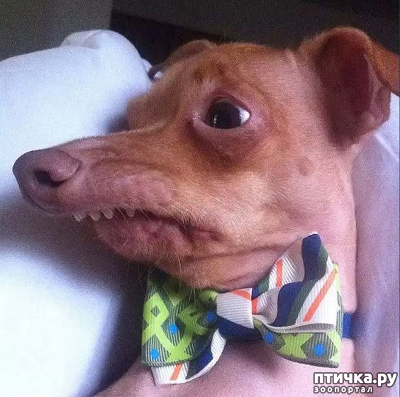 ���� 30: �����, ����� ��������. ������ ����������.