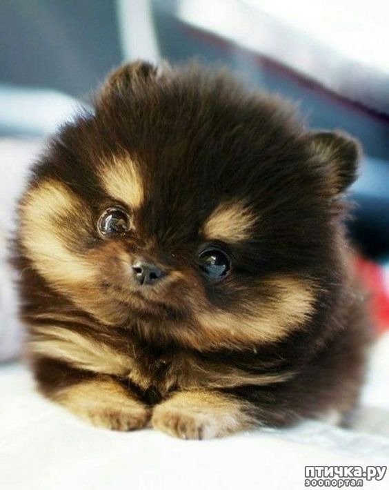 ���� 32: �����, ����� ��������. ������ ����������.