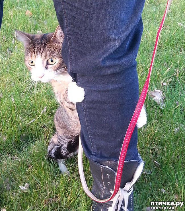 ���� 3: ���. ���. ����