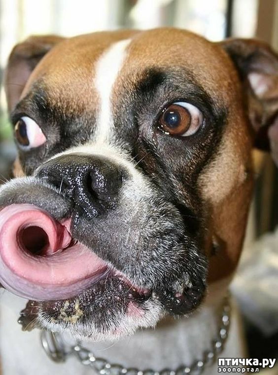 ���� 33: �����, ����� ��������. ������ ����������.