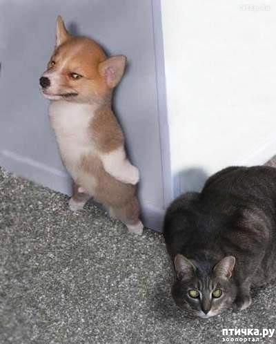 ���� 35: �����, ����� ��������. ������ ����������.