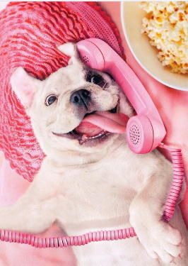 ���� 36: �����, ����� ��������. ������ ����������.