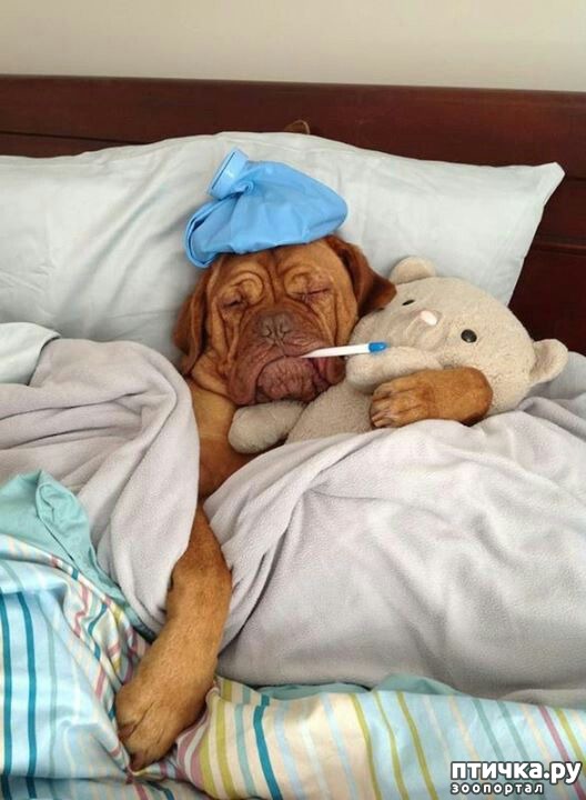 ���� 37: �����, ����� ��������. ������ ����������.