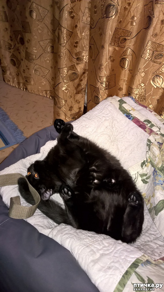 ���� 1: ������ ����� �� ������