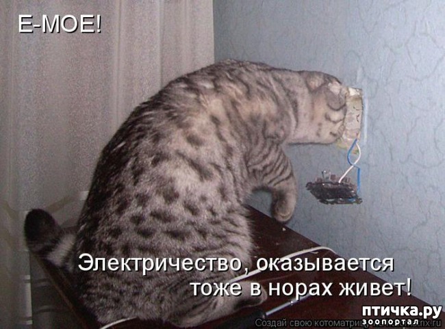 ���� 2: ��� ����������, ��� � ���������)))