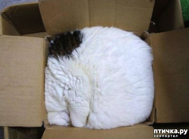 ���� 4: ��� ����������, ��� � ���������)))