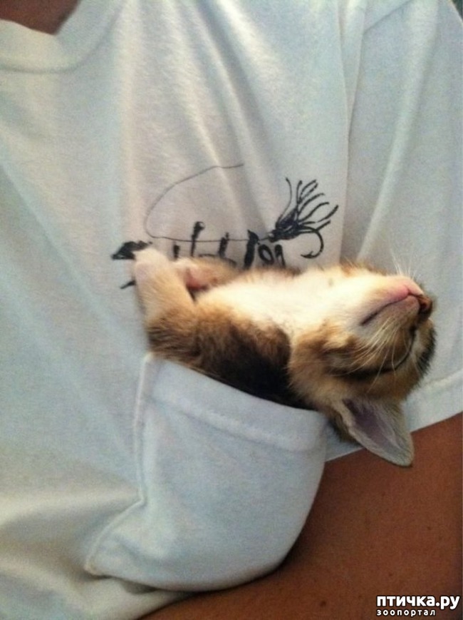 ���� 5: ��� ����������, ��� � ���������)))