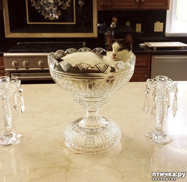 ���� 6: ��� ����������, ��� � ���������)))