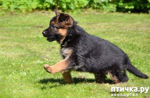 ����: ������ �� ����� �� ������ ������. �������!