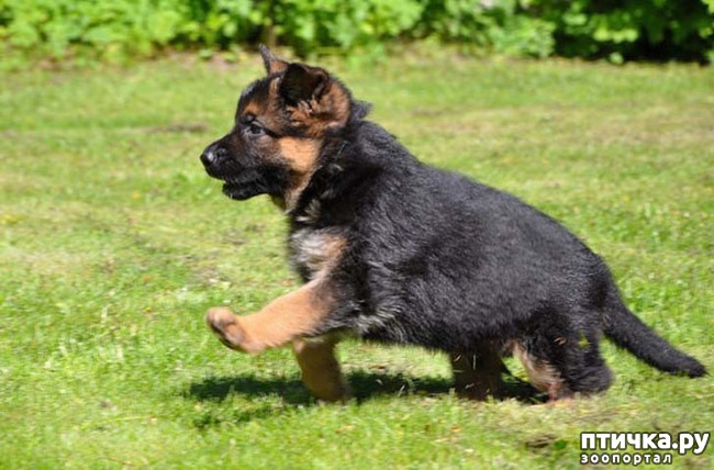 ���� 1: ������ �� ����� �� ������ ������. �������!