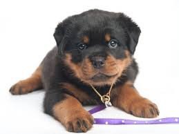 ����: � ������� � ������ ���������