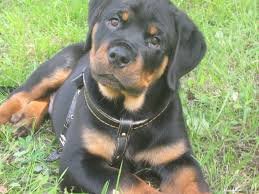 ���� 2: � ������� � ������ ���������