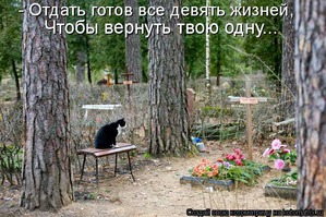 ����: ����� �����������!