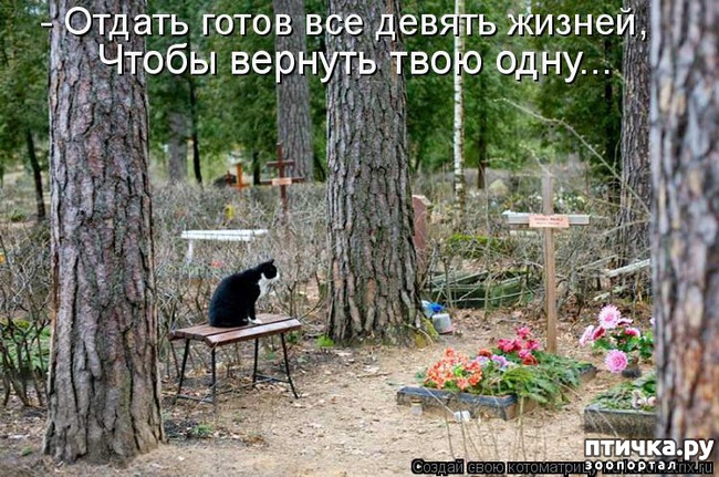 ���� 1: ����� �����������!