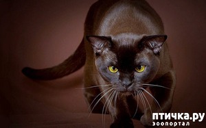 ����: ������ "������ �����"