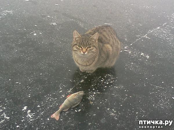 ���� 1: ����� ����� �� ������� (�. �����)