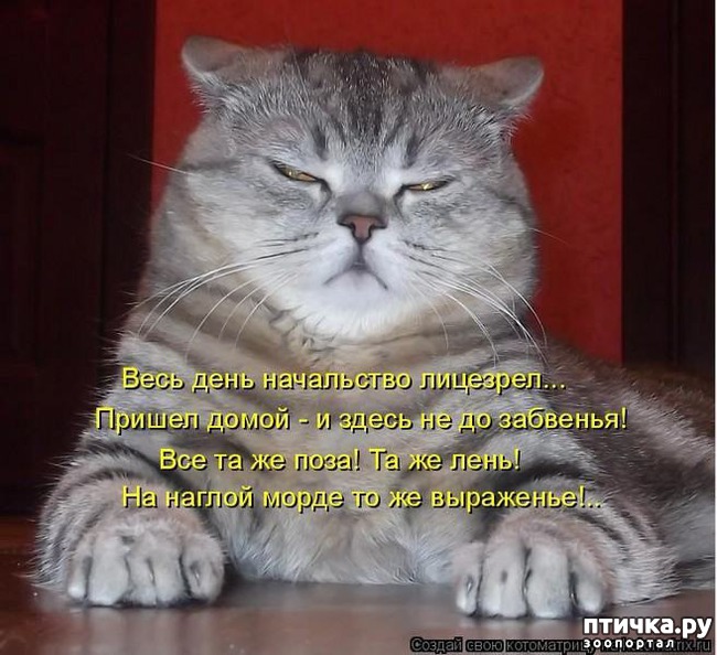 ���� 2: �����������: ����-����!