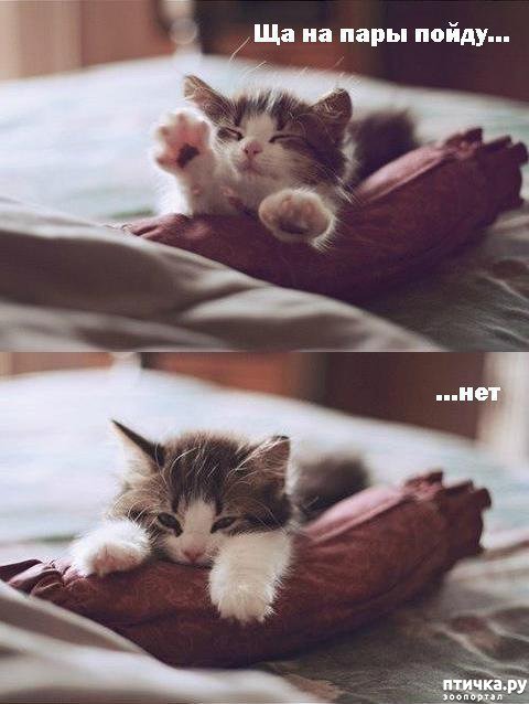 ���� 3: �����������: ����-����!