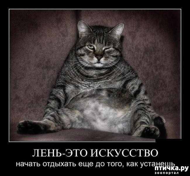 ���� 4: �����������: ����-����!