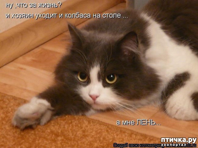 ���� 5: �����������: ����-����!