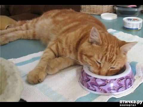 ���� 6: �����������: ����-����!