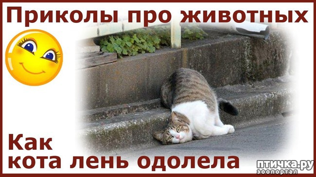 ���� 7: �����������: ����-����!