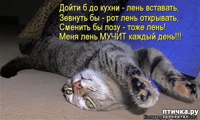 ���� 9: �����������: ����-����!