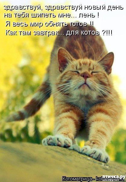 ���� 11: �����������: ����-����!