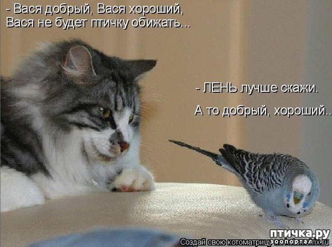 ���� 14: �����������: ����-����!