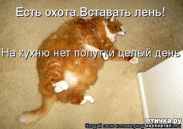 ���� 15: �����������: ����-����!