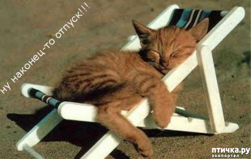 ���� 16: �����������: ����-����!