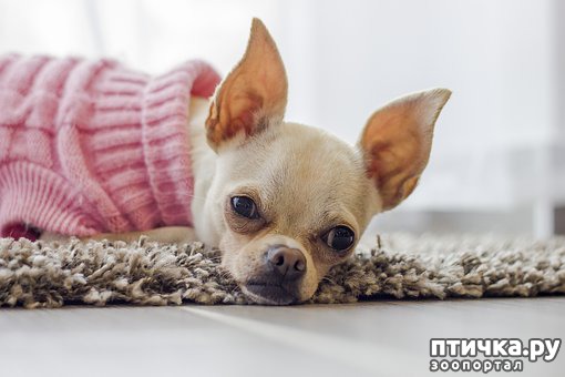 ���� 2: ������ ��� �����