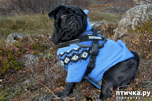 ���� 1: ������ ��� �����