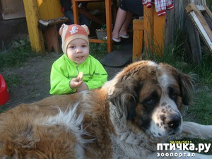 ����: ������� �� �����!