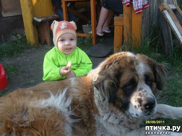 ���� 1: ������� �� �����!