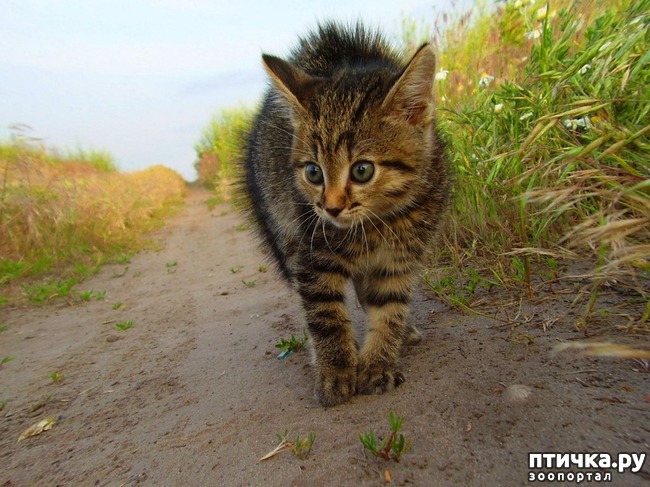 ���� 1: ��� ����� ����� �� �������� ������ (�. �����)