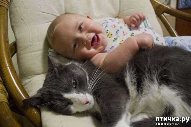 ���� 4: � ������� ���������� �� ������� ������ ���... ����������.