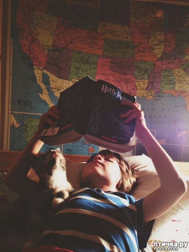 ���� 5: � ������� ���������� �� ������� ������ ���... ����������.