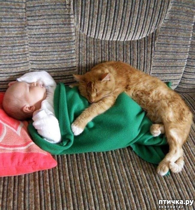 ���� 6: � ������� ���������� �� ������� ������ ���... ����������.