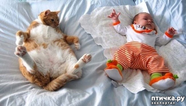 ���� 8: � ������� ���������� �� ������� ������ ���... ����������.