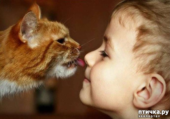 ���� 11: � ������� ���������� �� ������� ������ ���... ����������.