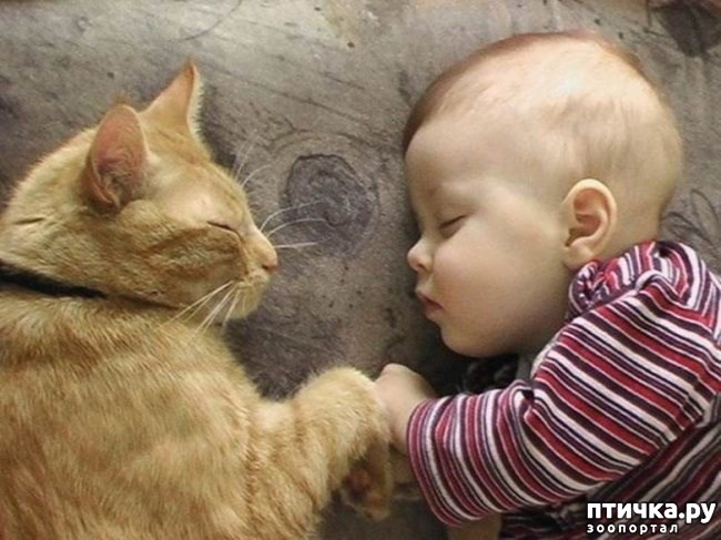 ���� 12: � ������� ���������� �� ������� ������ ���... ����������.