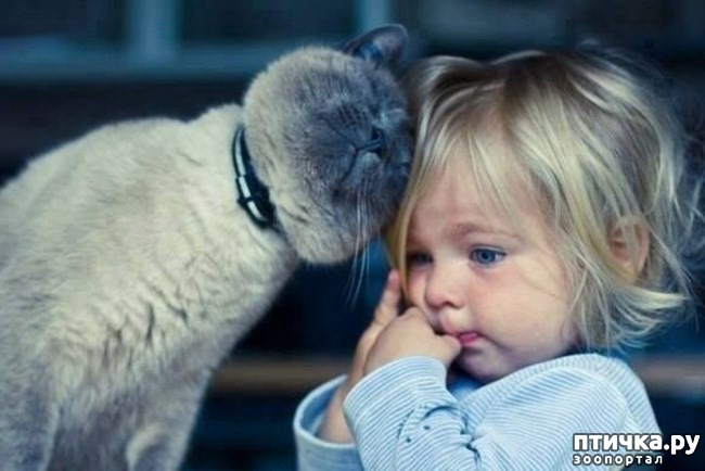 ���� 13: � ������� ���������� �� ������� ������ ���... ����������.