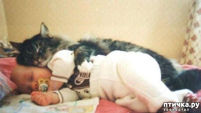 ���� 14: � ������� ���������� �� ������� ������ ���... ����������.