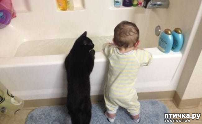 ���� 15: � ������� ���������� �� ������� ������ ���... ����������.