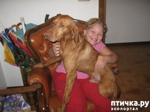 ����: ��� ������ ���������� ������ ���������� ����� ������ �� ������� � ������ � ��� ����������