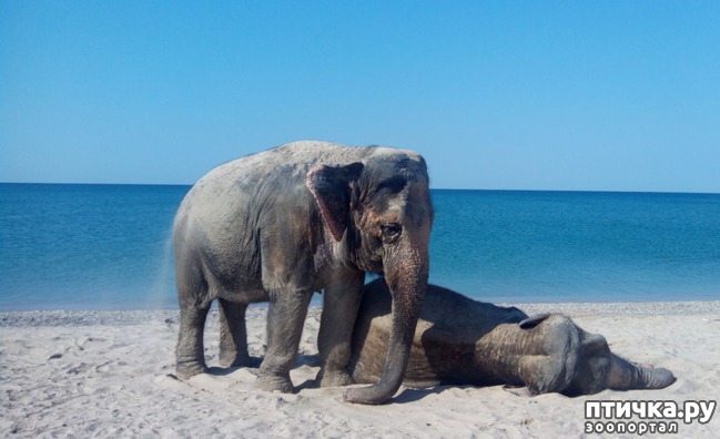 ���� 5: �� ���� �� �������