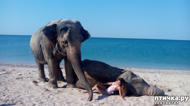 ���� 6: �� ���� �� �������