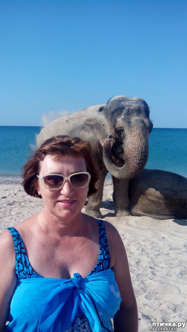 ���� 7: �� ���� �� �������