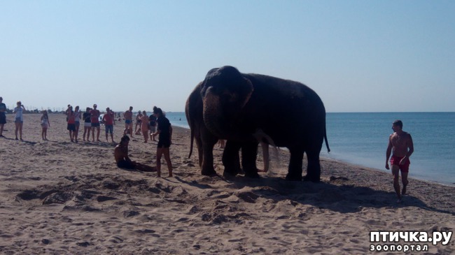 ���� 2: �� ���� �� �������